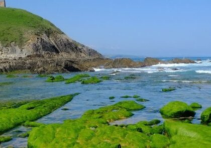 noticia-Veinticuatro empresas se adhieren al consorcio ‘Green Hidrógeno Cantabria’ para impulsar el proyecto de energía limpia del clúster MarCA-soermar