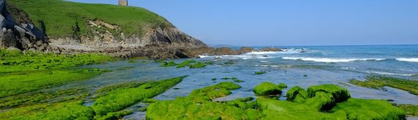 noticia-Veinticuatro empresas se adhieren al consorcio ‘Green Hidrógeno Cantabria’ para impulsar el proyecto de energía limpia del clúster MarCA-soermar